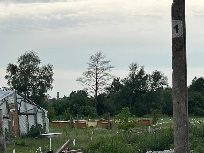 Camping für 35 Personen, mit Ausblick und Garten sowie Seeblick in Polen - 4