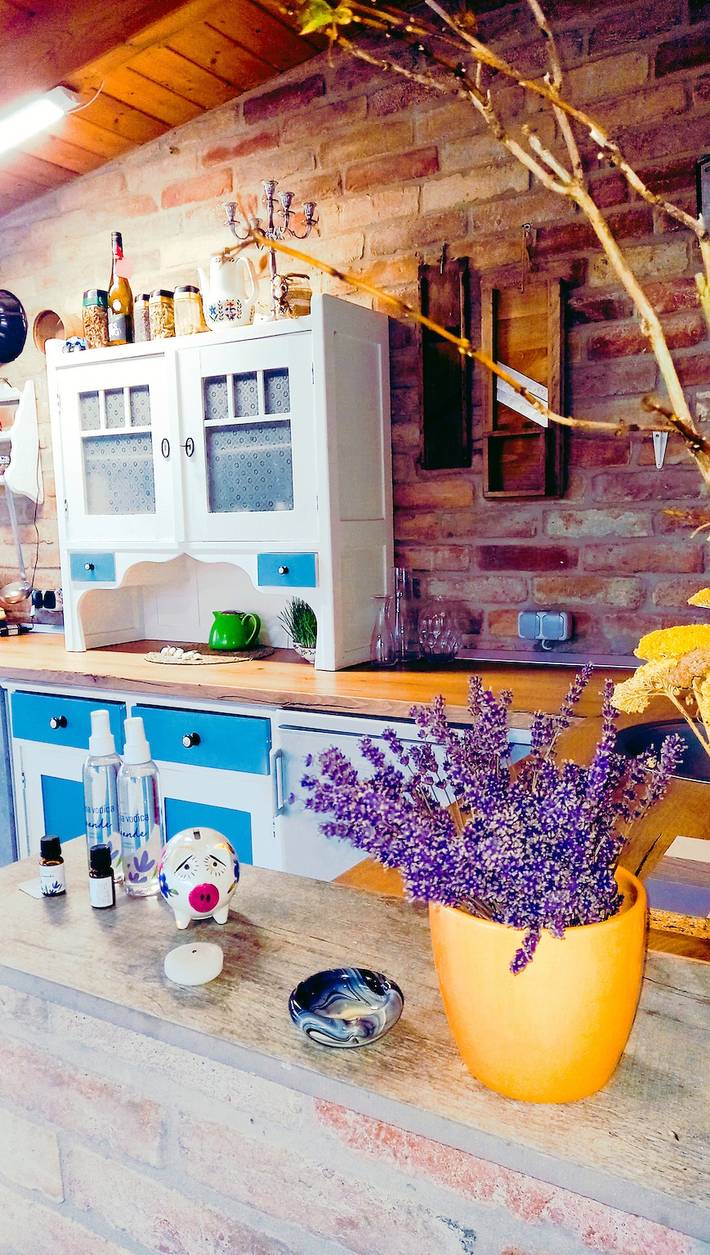 Ferienhaus für 4 Personen mit Garten in Erdut, Osijek-Baranja