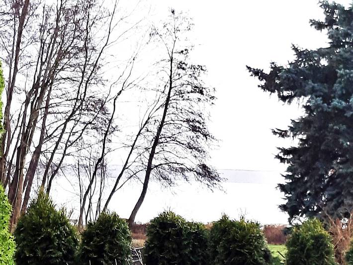 Ferienhaus für 4 Personen, mit Terrasse und Garten sowie Seeblick, mit Haustier am Plauer See - 3