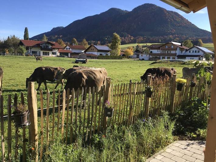Ferienhaus für 4 Personen, mit Sauna und Balkon in Halblech - 4