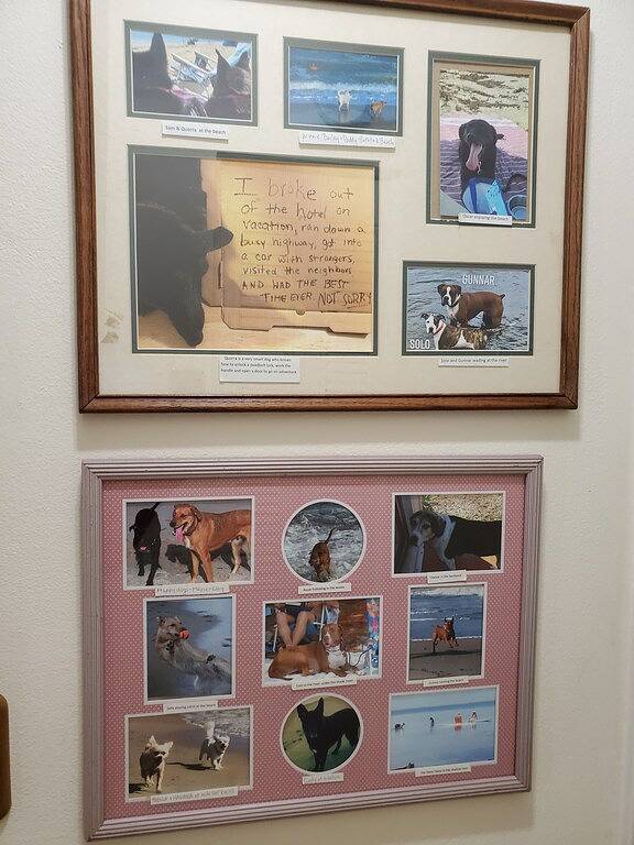 Ferienhaus für 6 Personen, mit Garten - 1