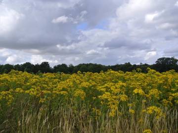 Ferienhaus für 10 Personen in Hejls, Kleiner Belt, Bild 4