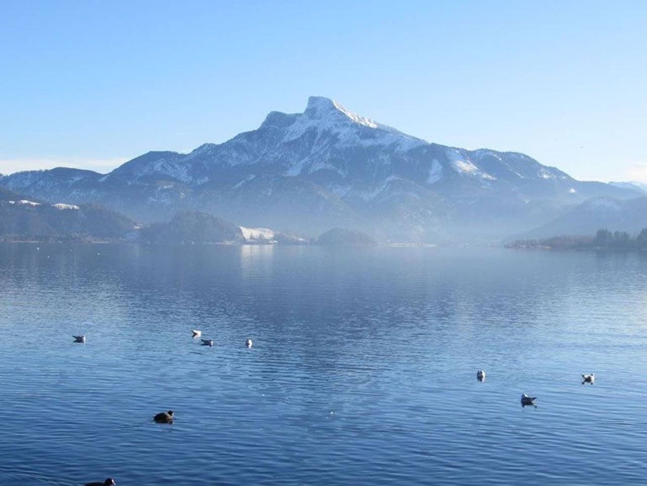 Ganze Ferienwohnung, Ferienwohnung Alpenseepark in Salzkammergut-Berge, Mondsee (Stadt)