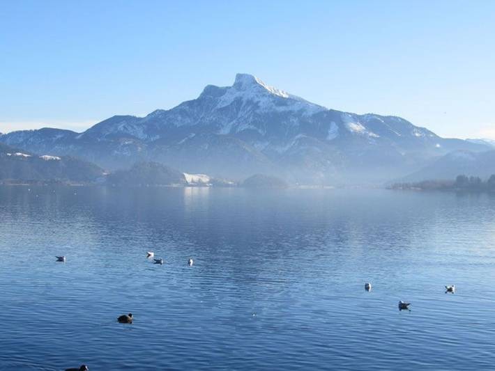 Ferienwohnung für 4 Personen, mit Garten, mit Haustier im Salzkammergut - 2