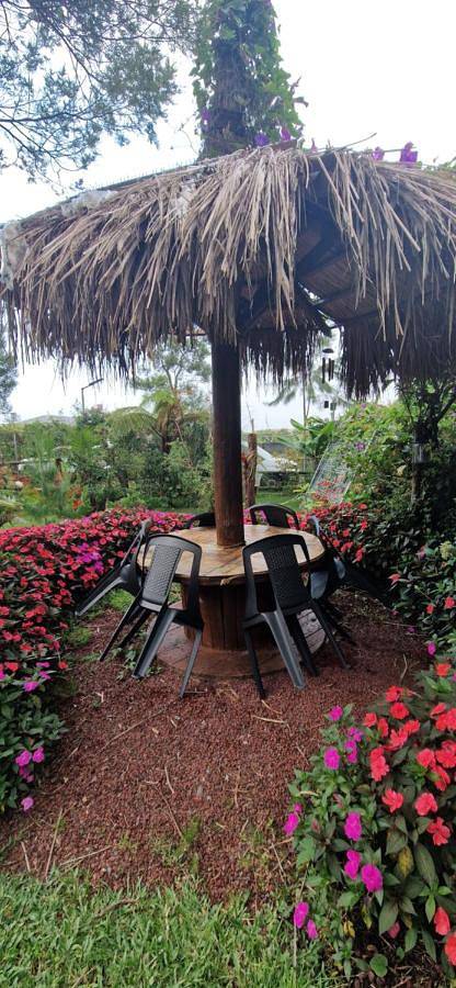 Gîte pour 2 personnes, avec vue et jardin à La Plaine-des-Palmistes - 3