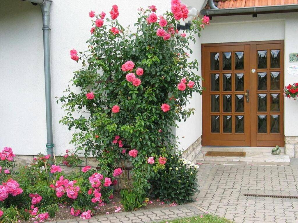 Two-Bedroom Holiday Home in Bad Langensalza, Unstrut-Hainich-Kreis