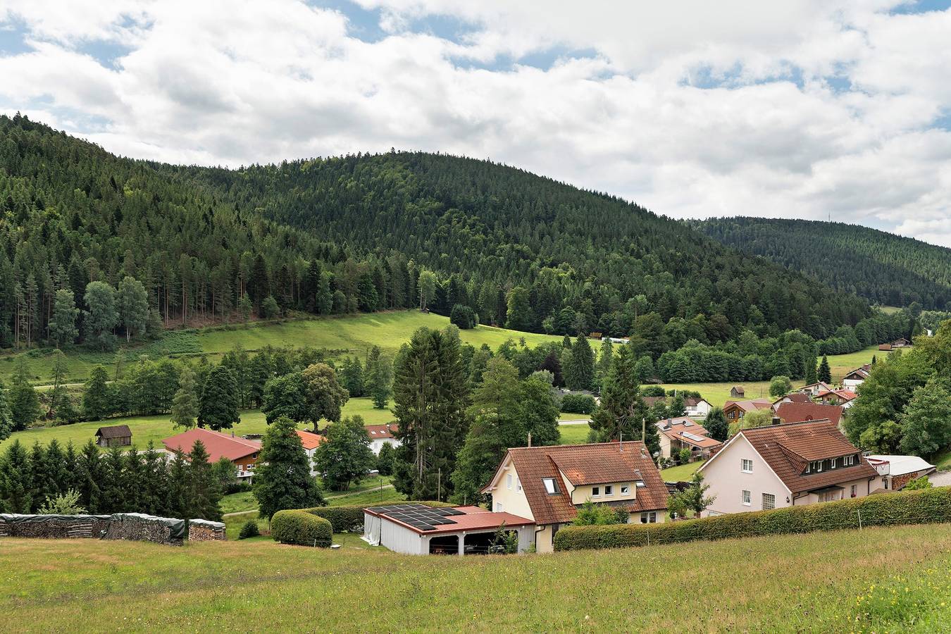 Ganze Wohnung, Ferienwohnung Gartenblick mit privater Terrasse, Gemeinschaftsgarten und Wi-Fi in Enzklösterle, Nordschwarzwald