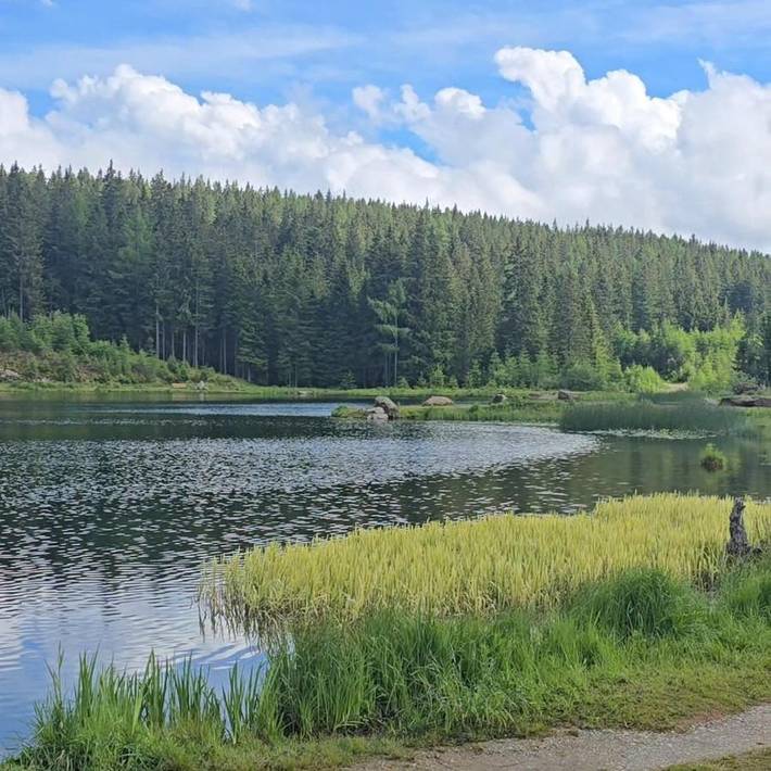 Ferienhaus für 6 Personen, mit Terrasse und Garten sowie Sauna und Ausblick in Weststeiermark - 4