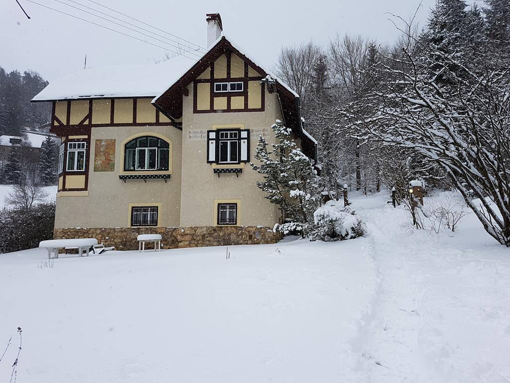 Ganze Ferienwohnung, Villa Waldheimat - Ferienhaus in Semmering, Wiener Alpen