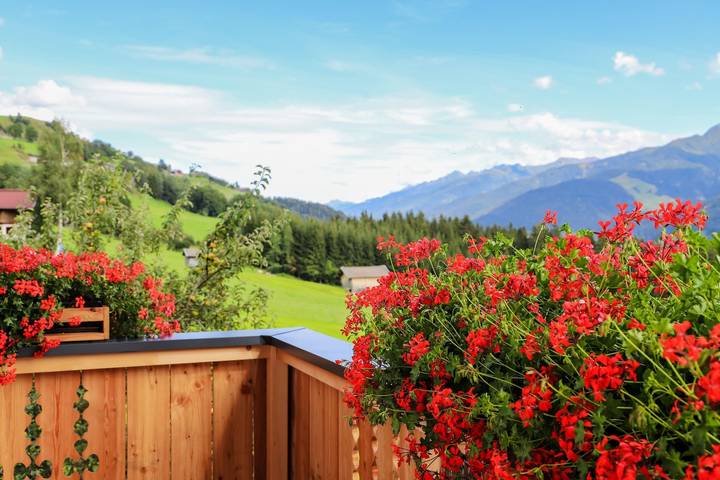 Ferienwohnung für 10 Personen, mit Balkon und Terrasse sowie Garten und Sauna