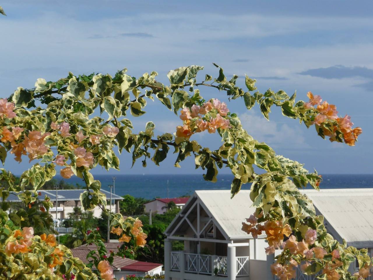 Grande villa créole, à 800 m de la plage, piscine, jardin in Le Diamant, Martinique