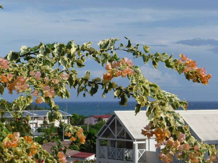 Location de vacances pour 10 personnes, avec piscine ainsi que terrasse et jardin à Le Diamant - 3