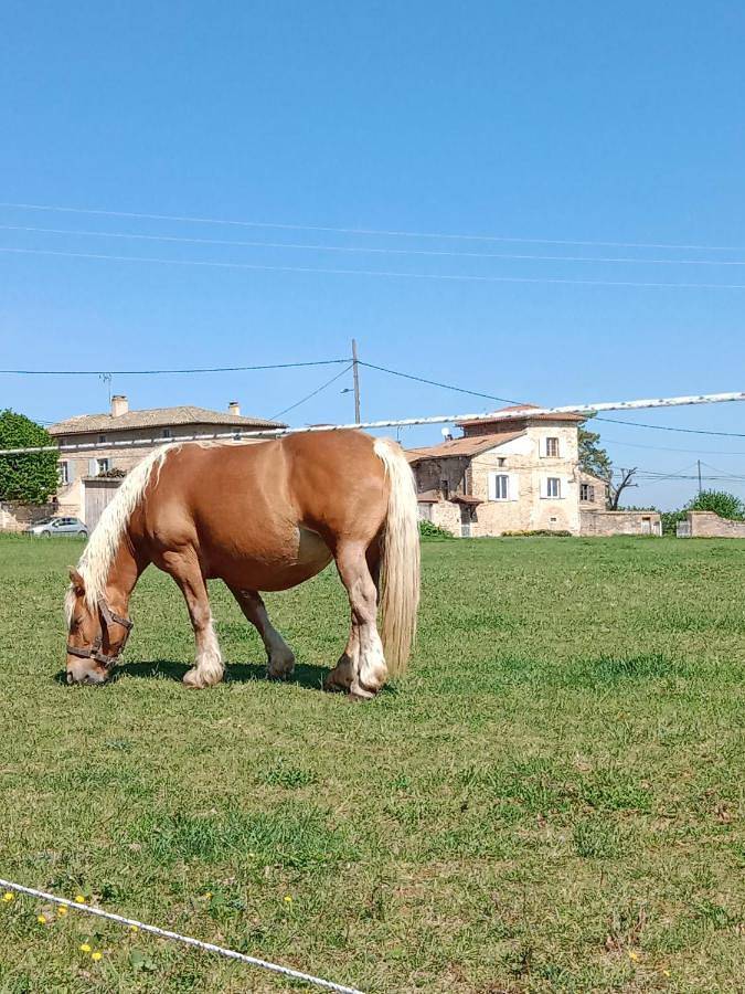 Gîte pour 2 personnes, avec balcon à Anse - 4