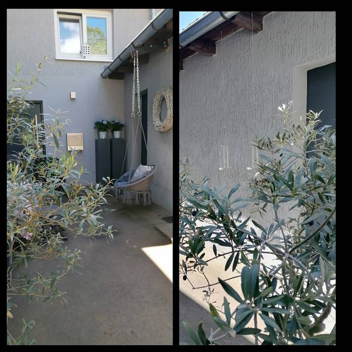 Ferienhaus für 2 Personen, mit Garten im Fichtelgebirge - 3