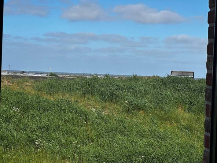 Ganze Ferienwohnung, BeachHus 35, Whg.1 in St. Peter-Ording, Eiderstedt