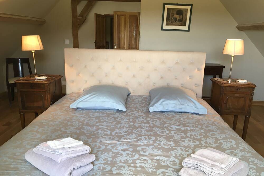 Château, jusqu'a 19 pers, \n9 s de bain, piscine ,  Beauval, espace, silence in Thésée, Sologne