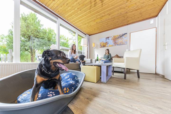 Ferienhaus für 6 Personen, mit Terrasse und Balkon/Terrasse im Hunsrück - 3