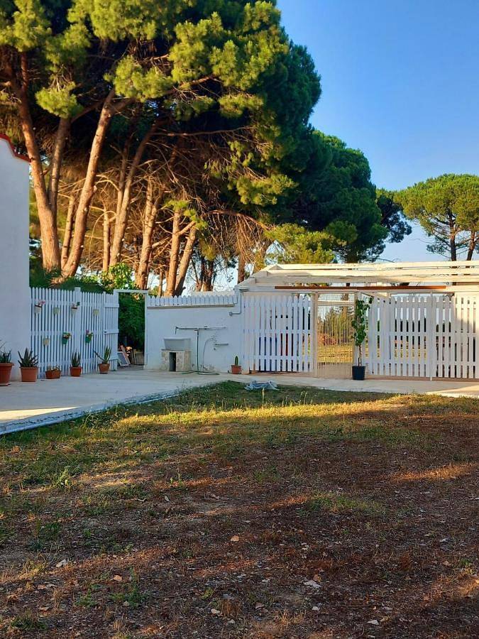 Location de vacances pour 8 personnes, avec vue et jardin, adapté aux familles à Brindisi - 4