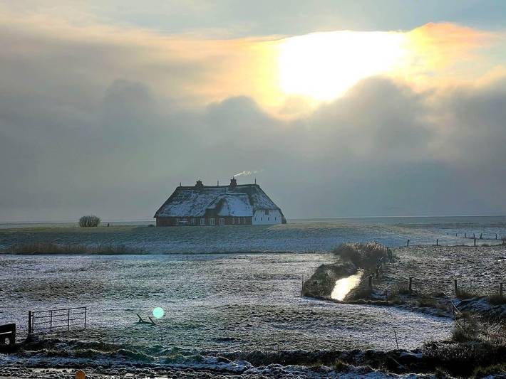 Ganze Ferienwohnung, Hallig Hüs in Langeneß, Halligen