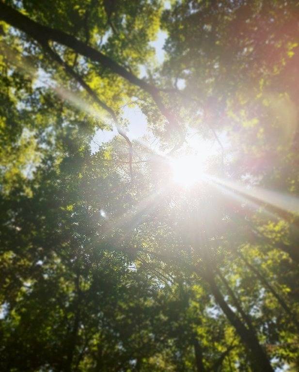 Die Goldadlerhütte 15 in Adirondack Mountains