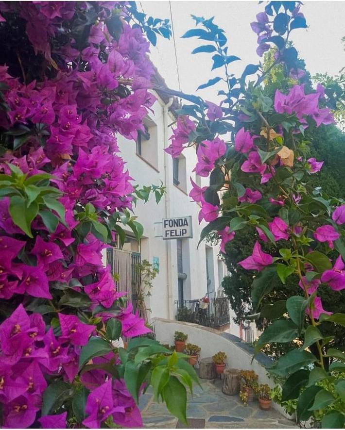 Gîte pour 2 personnes, avec Terrasse ainsi que Jardin et Vue à La Selva de Mar