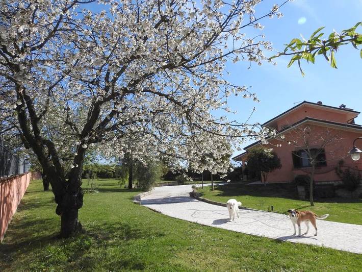 Gîte pour 5 personnes, avec vue et jardin à Fara in Sabina - 3