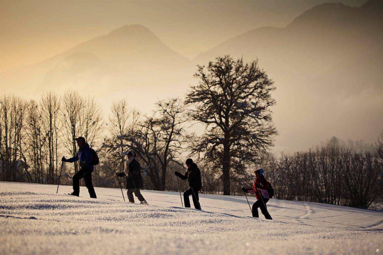 Ganze Ferienwohnung, Ez "Falabella" in Walchsee, Kaisergebirge
