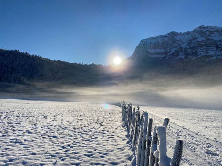 Ferienwohnung für 4 Personen, mit Sauna und Ausblick sowie Garten und Pool in Bizau - 3