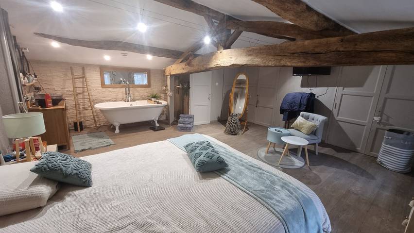 Chambre d’hôte pour 6 personnes, avec jardin et piscine, animaux acceptés en Charente-Maritime - 4