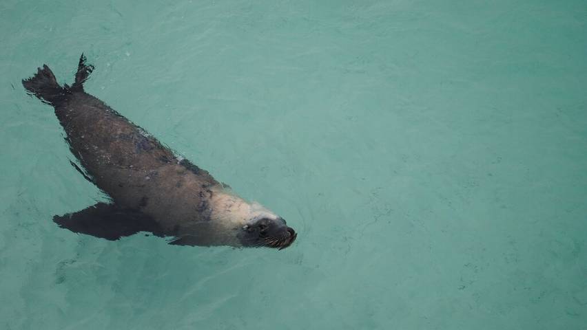 Gîte pour 4 personnes, avec terrasse à Esperance - 2