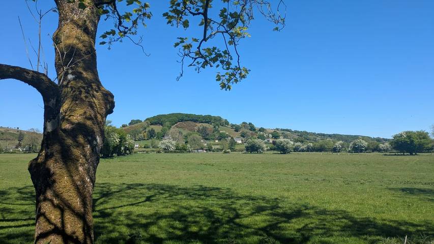 Holiday rental for 2 people, with garden and lake view, child-friendly in Wales