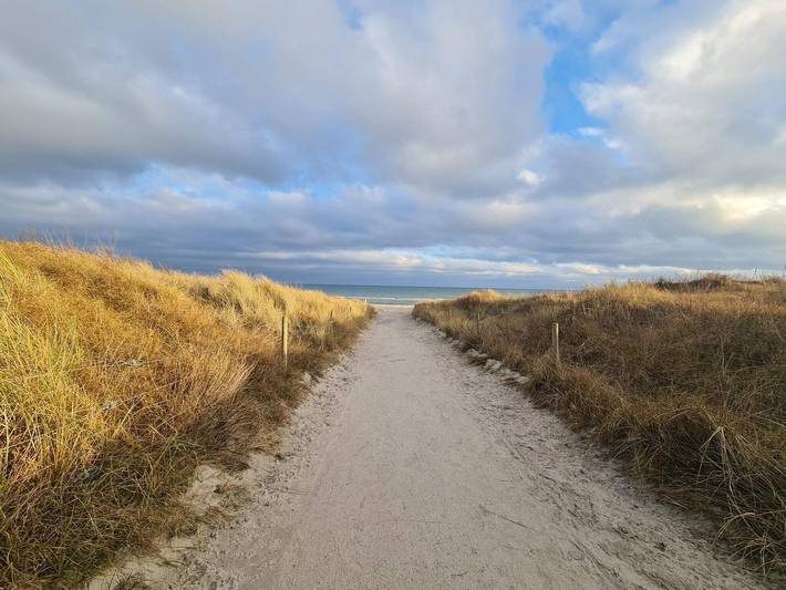 Ferienhaus für 12 Personen, mit Terrasse und Sauna, kinderfreundlich auf Seeland - 4