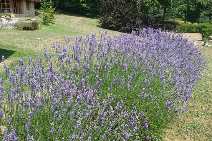Casa de vacaciones para 4 personas, con jardín y jacuzzi en Álava - 3