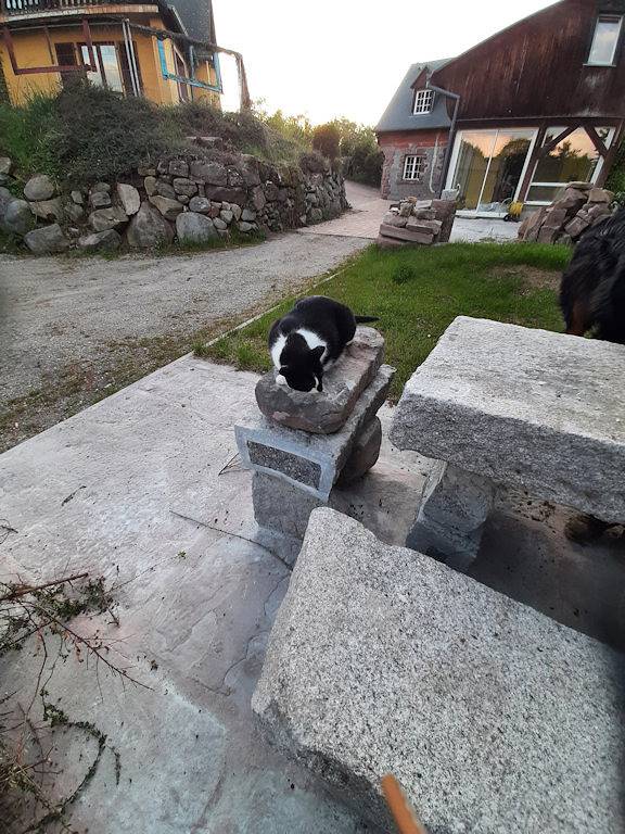 Gîte pour 4 personnes, avec jardin et terrasse dans Grand Est - 3