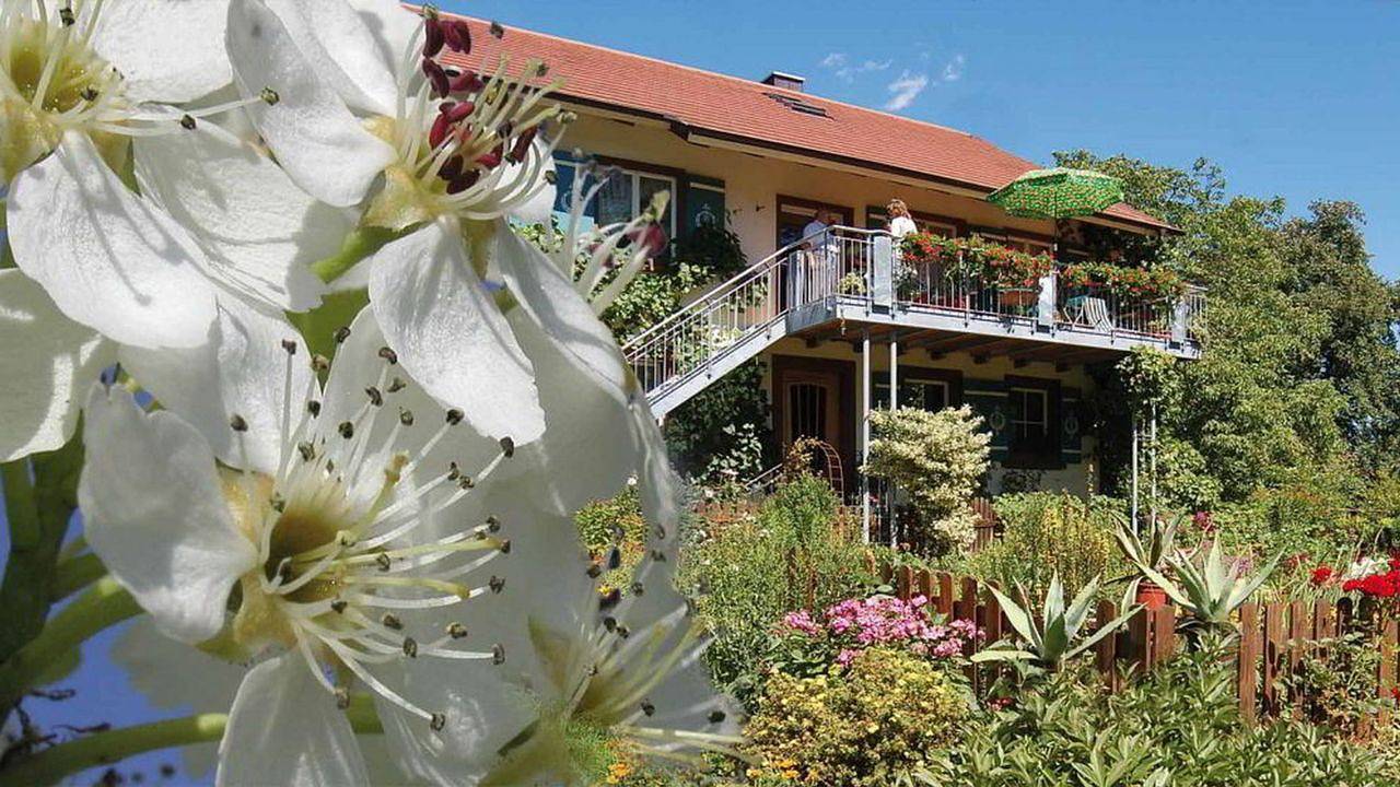 Ganze Ferienwohnung, Ferienwohnung für 4 Personen (65 m²) in Überlingen in Überlingen, Region Bodensee-Oberschwaben