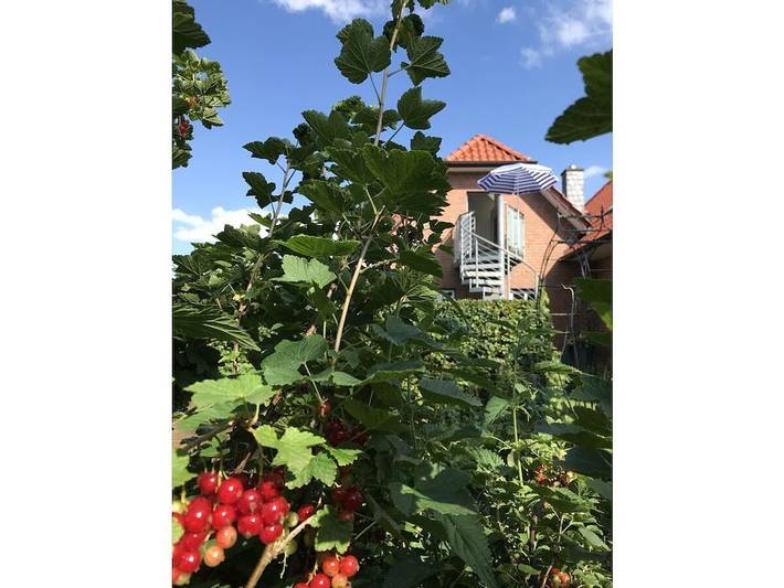 Ferienwohnung in Linau mit Schwimmbecken in Linau, Kreis Herzogtum Lauenburg