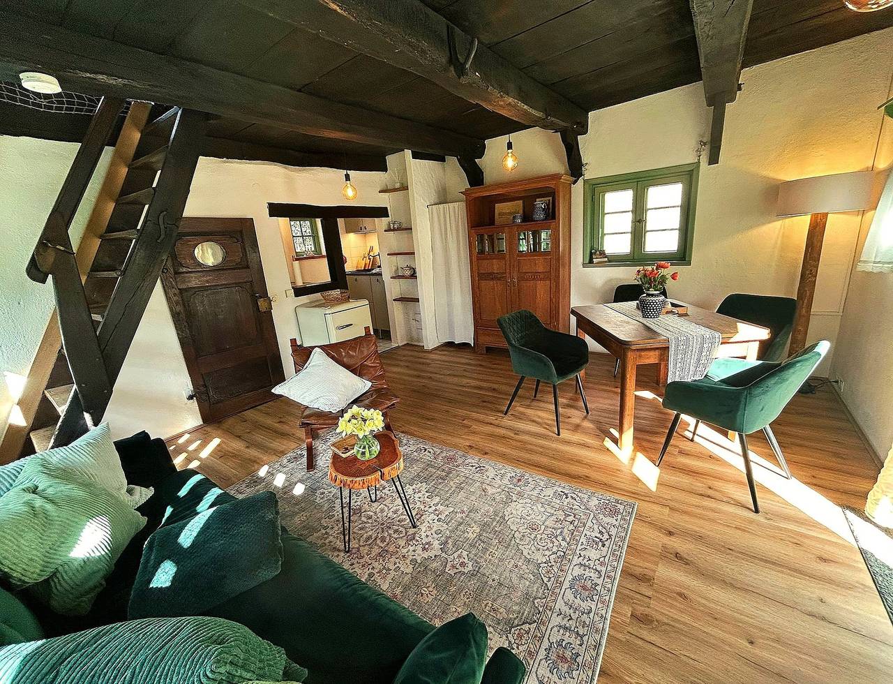 Idyllisches Ferienhaus Nähe Dümmer See | Auszeit | Sauna | Natur in Landkreis Diepholz