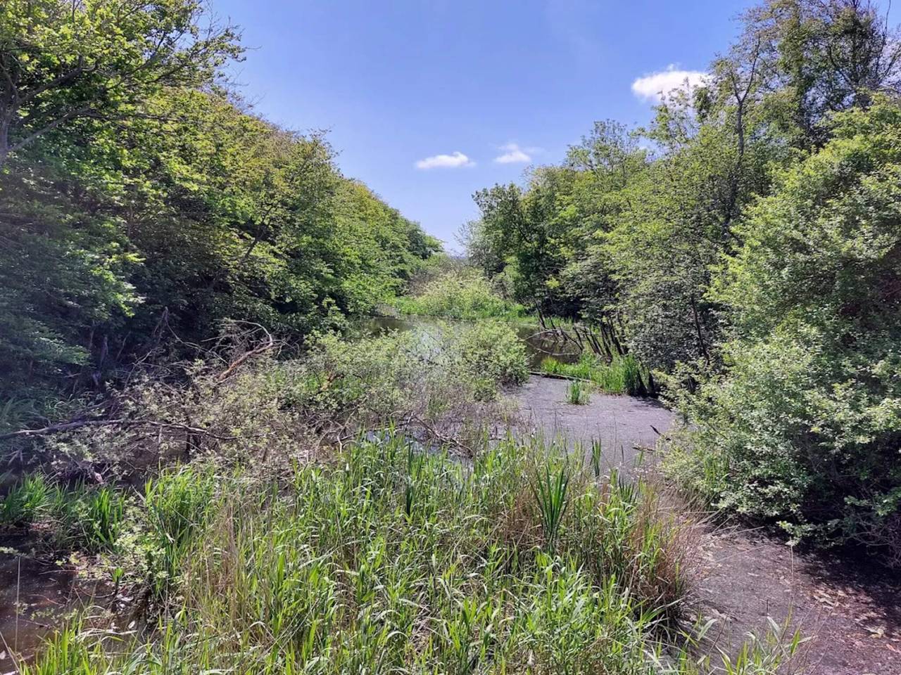 Verzauberter Ruckzugsort in Henne Stadt in Henne, Filsø See
