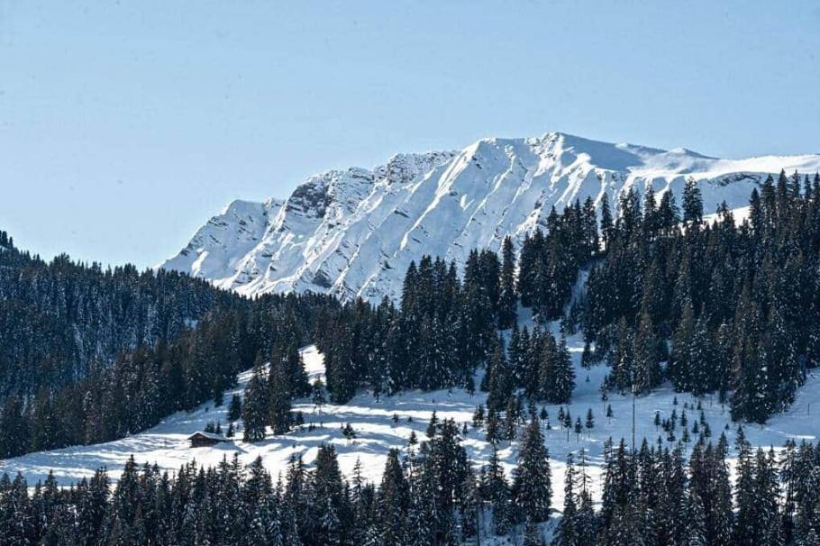 Ganze Wohnung, Superior Chalet in Matten (St. Stephan), St. Stephan
