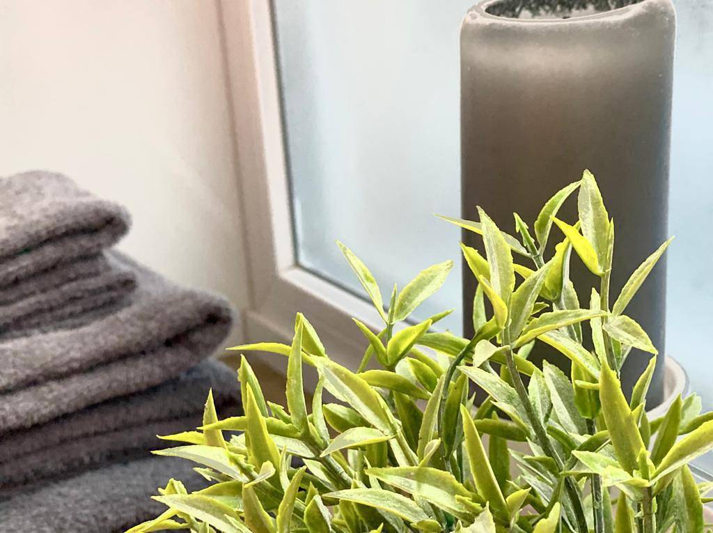 Ganze Ferienwohnung, Fewo im Herzen der Pfalz in Neustadt-Stadtmitte, Neustadt an der Weinstraße