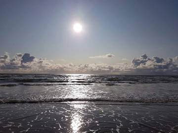 Chalet für 26 Personen in Nyborg und Umgebung, Region Süddänemark, Bild 3