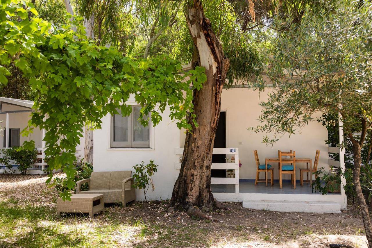 Villaggio Campeggio Nettuno di Paestum in Spiaggia Varolato, Capaccio