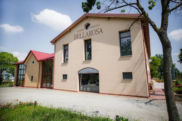 Casa vacanza per 4 persone, con Giardino e Sauna nonché Panorama a Albinea