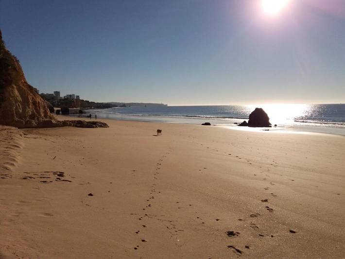 Chambre d’hôte pour 2 personnes, avec jardin et piscine à Portimão - 4
