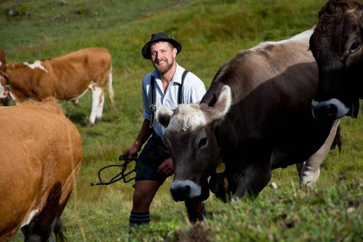 Ferienwohnung für 2 Personen, mit Balkon und Ausblick in Schwangau