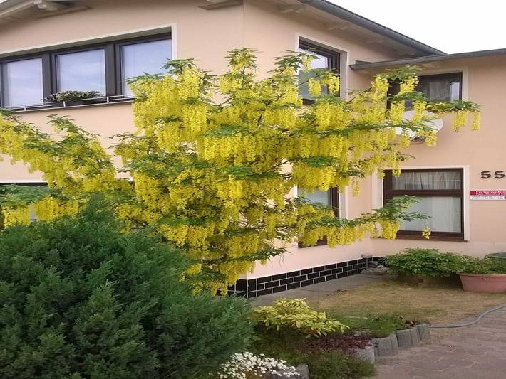 Ganze Ferienwohnung, Ferienwohnung Gärtner - Ferienwohnung in Drei Kaiserbäder, Heringsdorf