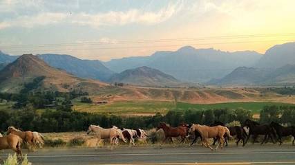 Vacation House for 10 Guests in Cody (WY), Absaroka Range, Picture 1