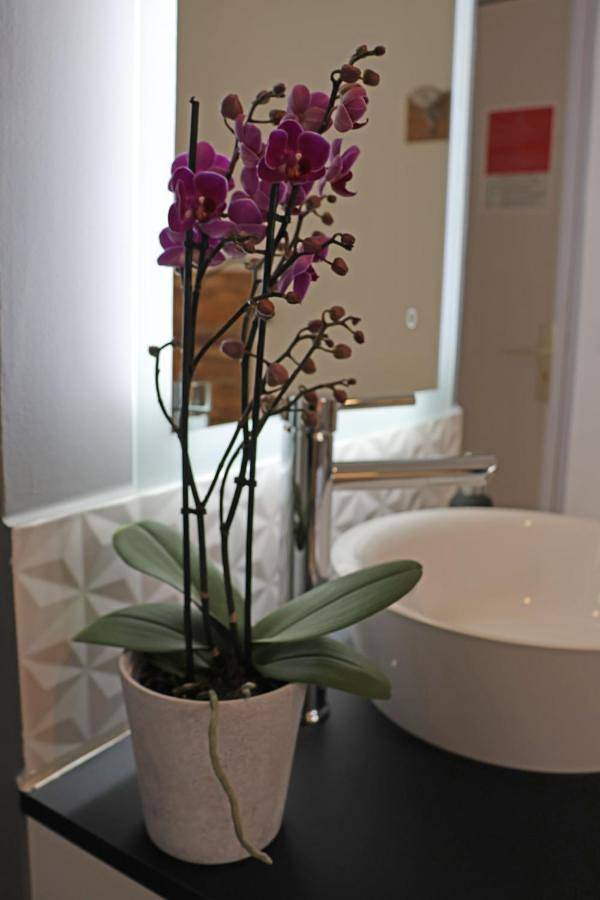 Appartement entier, One-Bedroom Apartment in Saint-Montan, Privas (arrondissement)