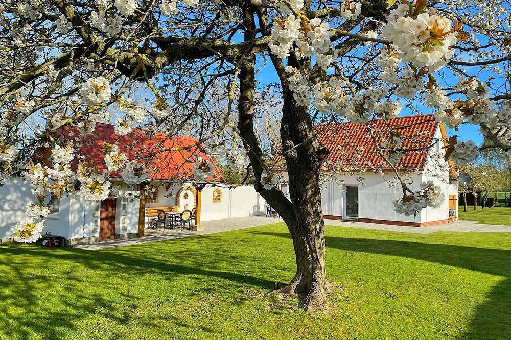 Ferienhaus in Rügen für 4 Personen in Rügen