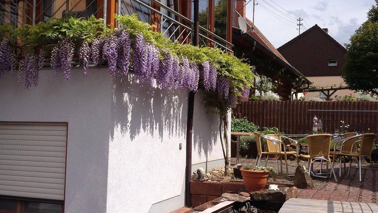 Ganze Ferienwohnung, Ferienwohnung für 4 Personen (57 m²) in Marpingen in Marpingen, Saar-Nahe-Bergland